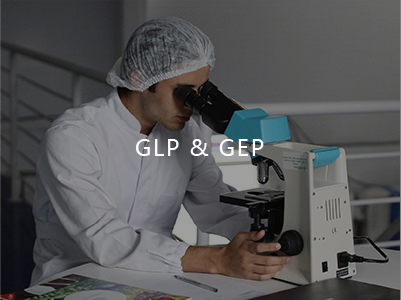 Presentaci��n del laboratorio de GLP&GEP