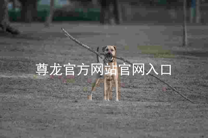 尊龙官方网站官网入口
